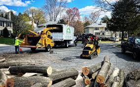 Trusted Eagleview, PA Tree Services Experts